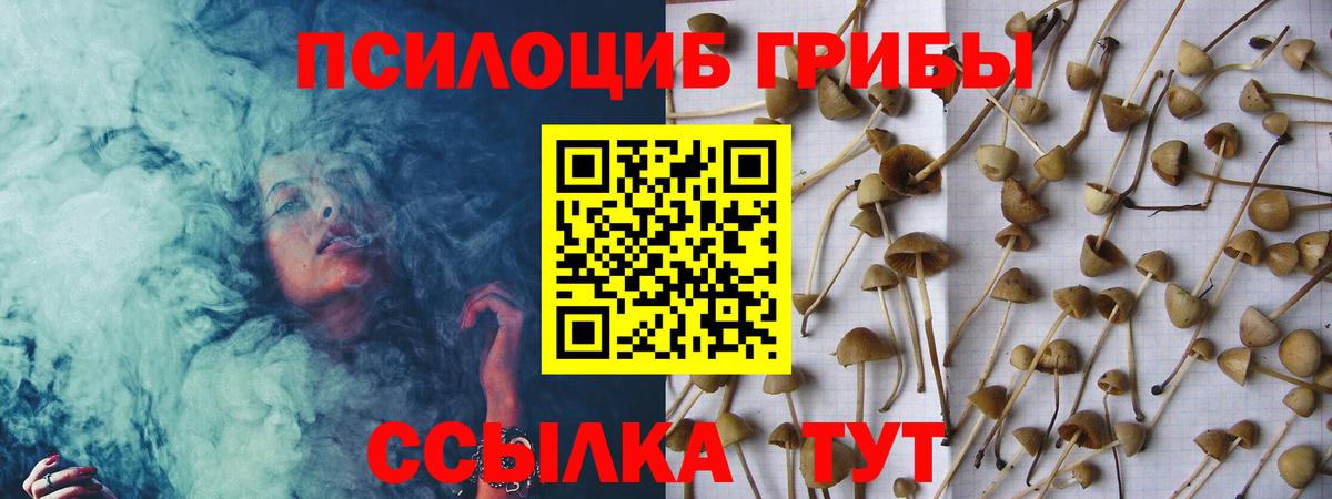 даркнет сайт  Вход с VPN  Псилоцибиновые грибы MAGIC MUSHROOMS  Алексин  Галлюциногенные грибы Cubensis 